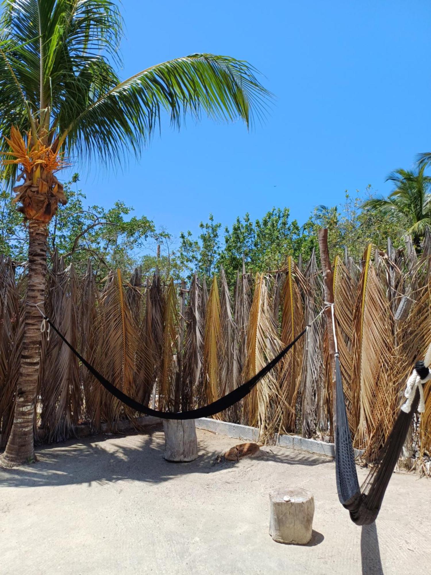 Aparthotel Casa Sofia Holbox Exterior foto